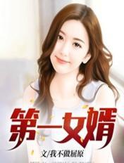 第一女婿全集免费阅读