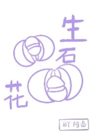 生石花换盆教程视频